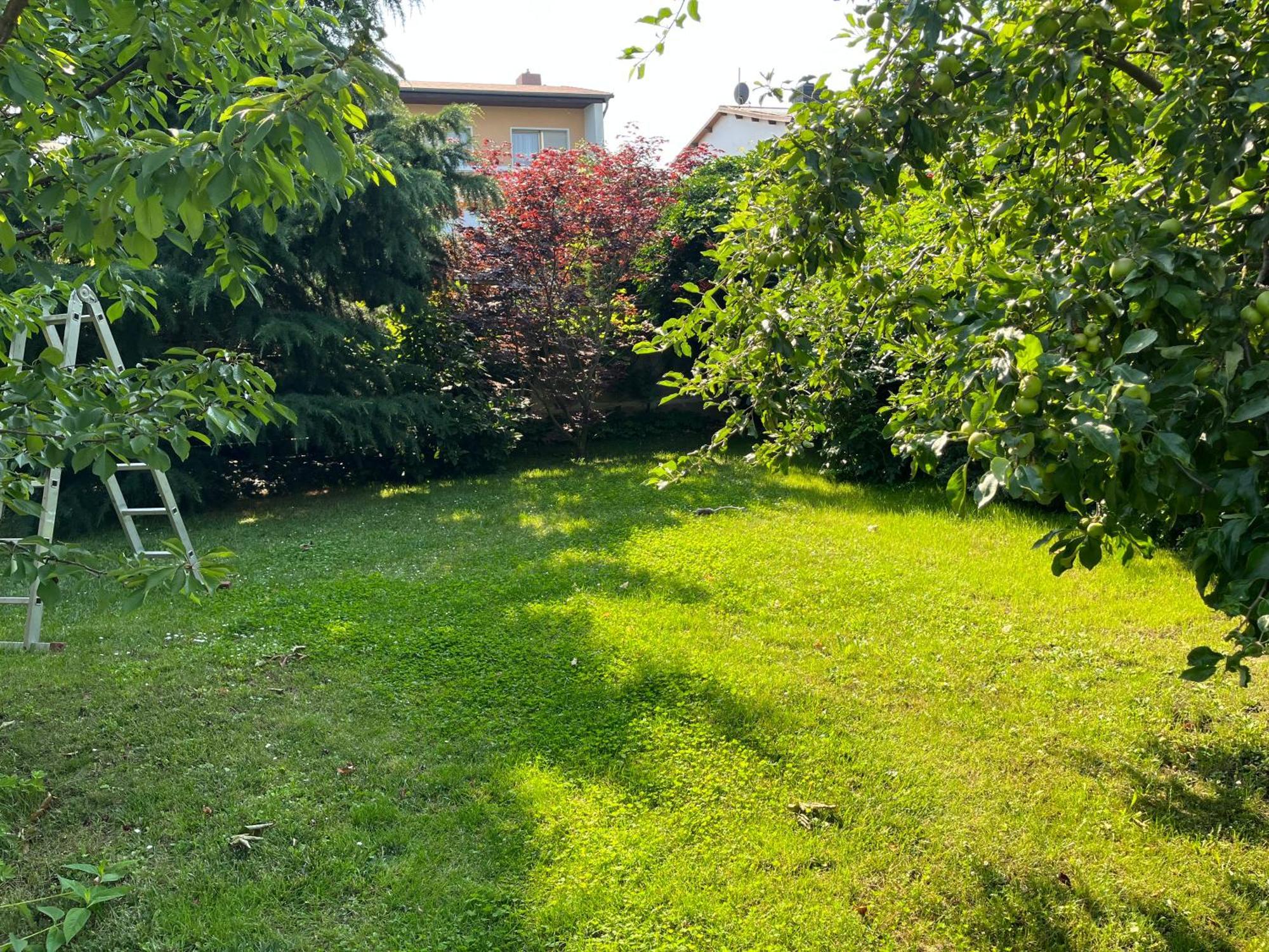 Appartamento Elbidyll Magdeburgo Esterno foto